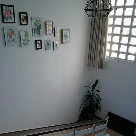 Con Piscina La Arboleda Casa de Férias Amoeiro