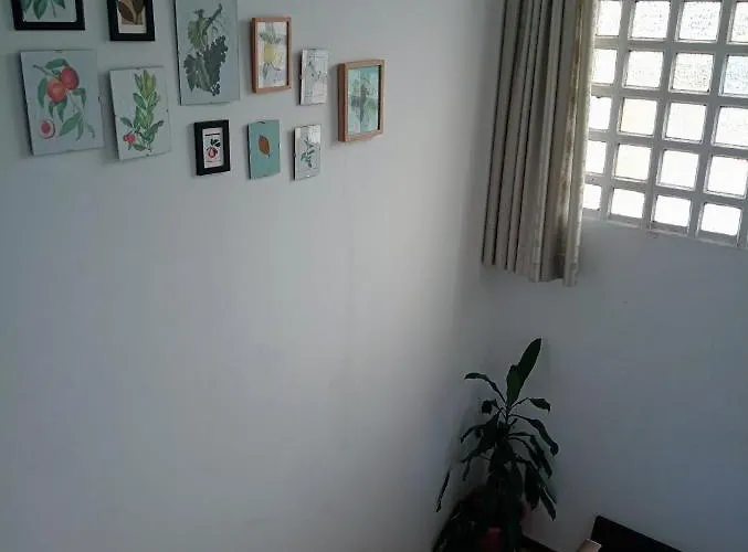 Con Piscina La Arboleda Hébergement de vacances Amoeiro